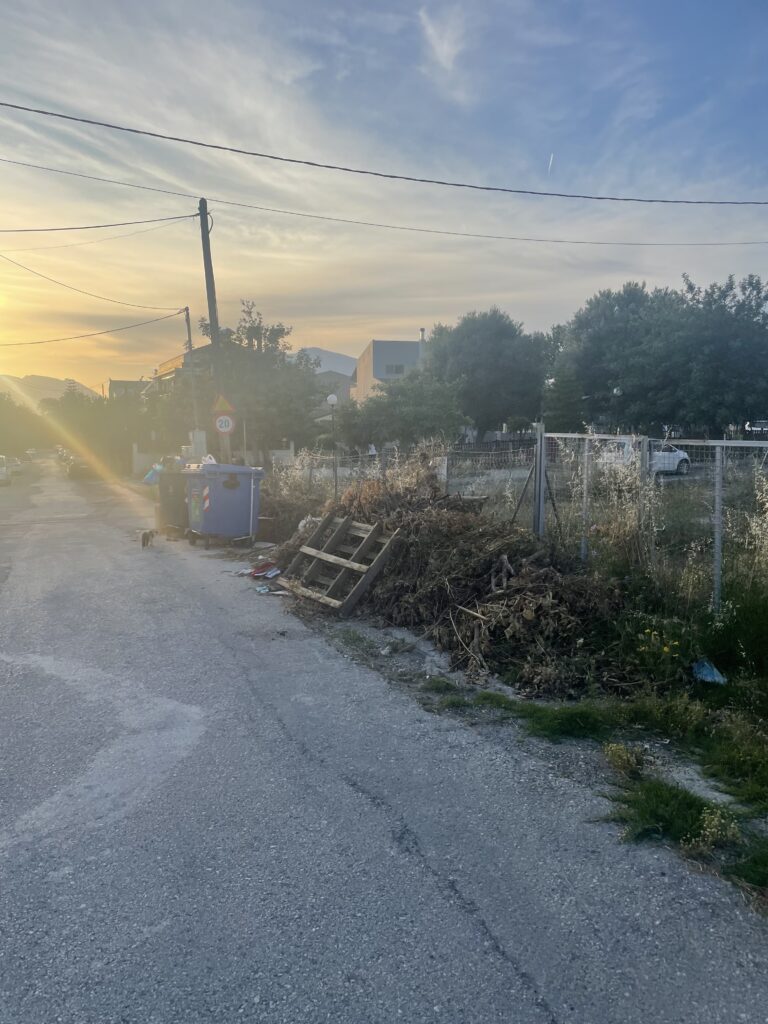 Πάτρα: Υγειονομική «βόμβα», αφόρητη δυσοσμία, τρωκτικά και φόβος για φωτιά ΦΩΤΟ 32 Πάτρα: Υγειονομική «βόμβα», αφόρητη δυσοσμία, τρωκτικά και φόβος για φωτιά ΦΩΤΟ