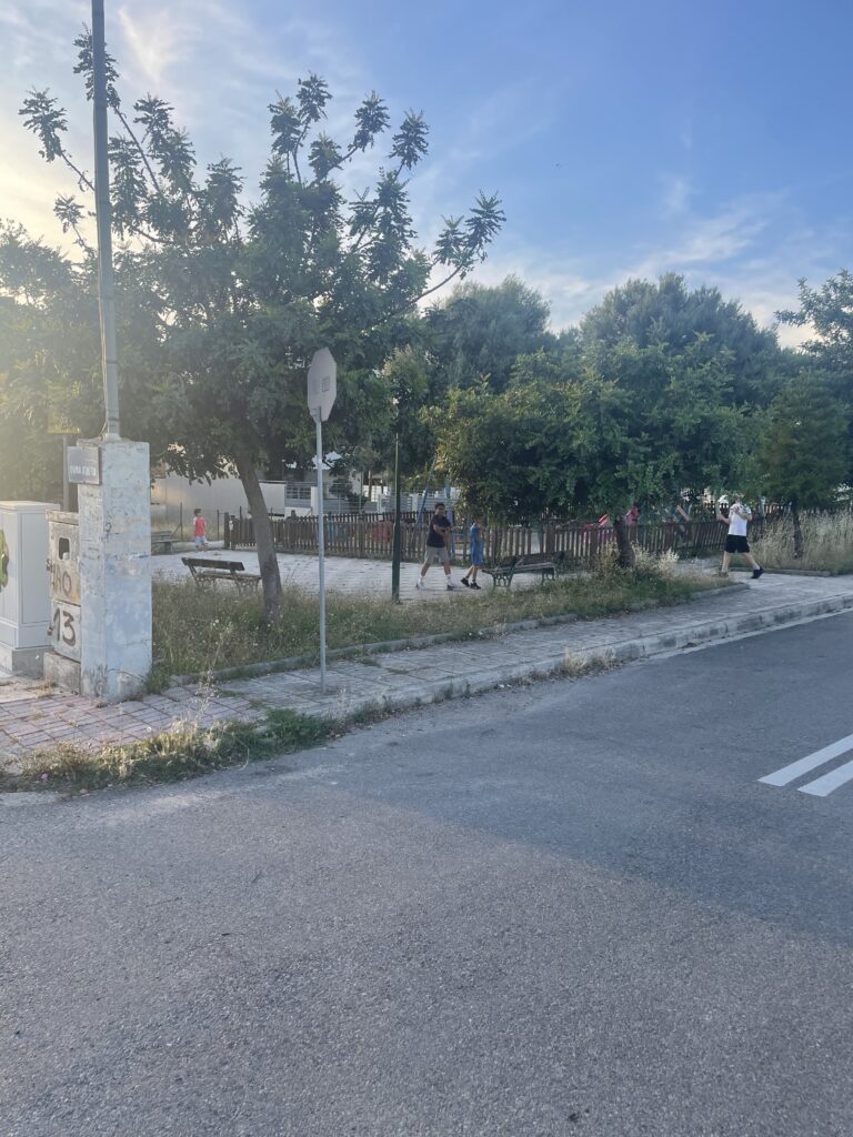 Πάτρα: Υγειονομική «βόμβα», αφόρητη δυσοσμία, τρωκτικά και φόβος για φωτιά ΦΩΤΟ 29 Πάτρα: Υγειονομική «βόμβα», αφόρητη δυσοσμία, τρωκτικά και φόβος για φωτιά ΦΩΤΟ