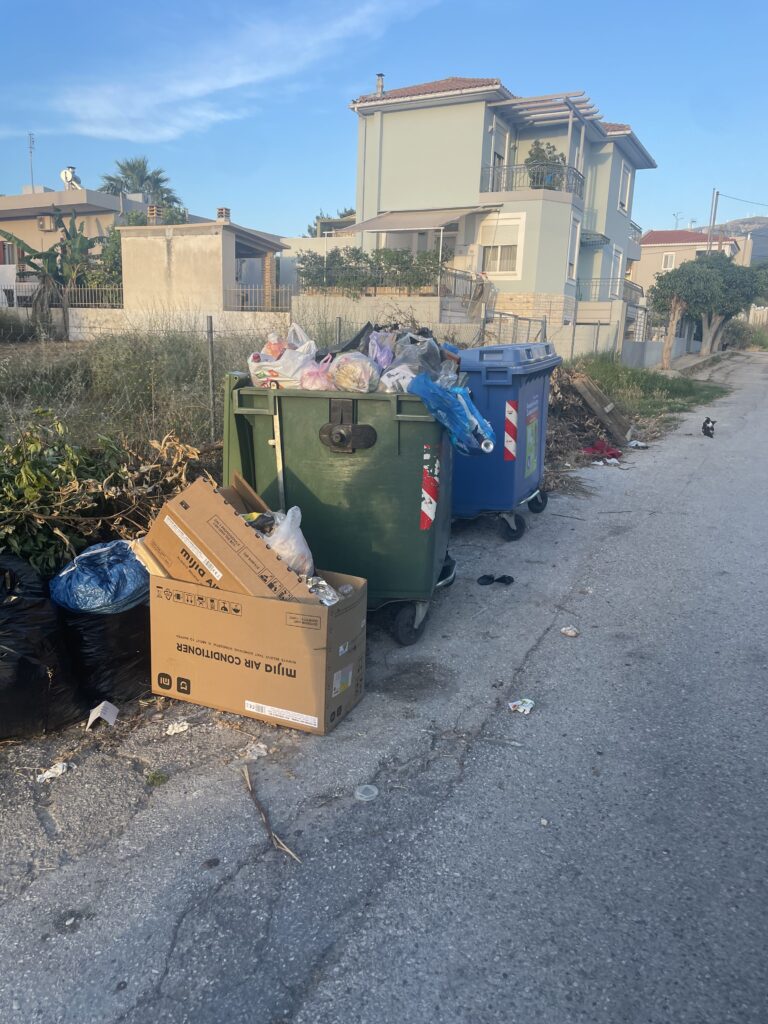 Πάτρα: Υγειονομική «βόμβα», αφόρητη δυσοσμία, τρωκτικά και φόβος για φωτιά ΦΩΤΟ 30 Πάτρα: Υγειονομική «βόμβα», αφόρητη δυσοσμία, τρωκτικά και φόβος για φωτιά ΦΩΤΟ