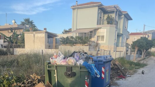 Πάτρα: Υγειονομική «βόμβα», αφόρητη δυσοσμία, τρωκτικά και φόβος για φωτιά ΦΩΤΟ 38 Πάτρα: Υγειονομική «βόμβα», αφόρητη δυσοσμία, τρωκτικά και φόβος για φωτιά ΦΩΤΟ