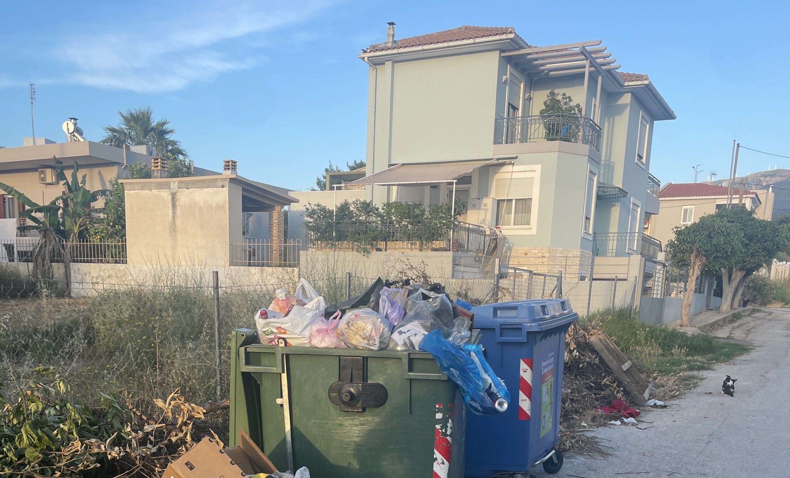 Πάτρα: Υγειονομική «βόμβα», αφόρητη δυσοσμία, τρωκτικά και φόβος για φωτιά ΦΩΤΟ