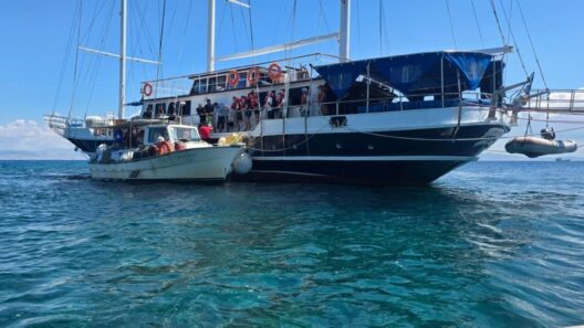 ΠΕΠΙΕΘ: Ο Γιώργος Βάλλης για την προσάραξη τουριστικού σκάφους στην Αίγινα ΦΩΤΟ 37 ΠΕΠΙΕΘ: Ο Γιώργος Βάλλης για την προσάραξη τουριστικού σκάφους στην Αίγινα ΦΩΤΟ