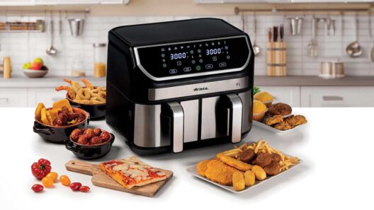 Airfryer: Ο μύθος της «φριτέζας χωρίς λάδι» – Μια ειλικρινής εμπειρία 12 ετών 36 Airfryer: Ο μύθος της «φριτέζας χωρίς λάδι» – Μια ειλικρινής εμπειρία 12 ετών