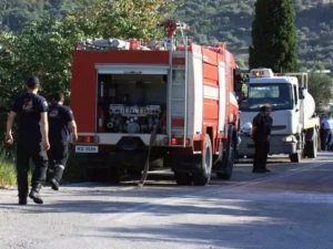 Αχαΐα: Φωτιά σε κυπαρίσσι στου Καρπέτα