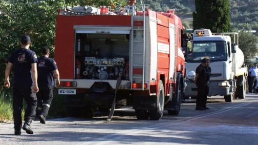 Αχαΐα: Φωτιά σε κυπαρίσσι στου Καρπέτα 36 Αχαΐα: Φωτιά σε κυπαρίσσι στου Καρπέτα