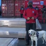 Χιλή: Ποσότητα-ρεκόρ ναρκωτικών κατασχέθηκε σε φορτία ξυλείας ΦΩΤΟ