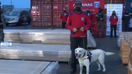 Χιλή: Ποσότητα-ρεκόρ ναρκωτικών κατασχέθηκε σε φορτία ξυλείας ΦΩΤΟ