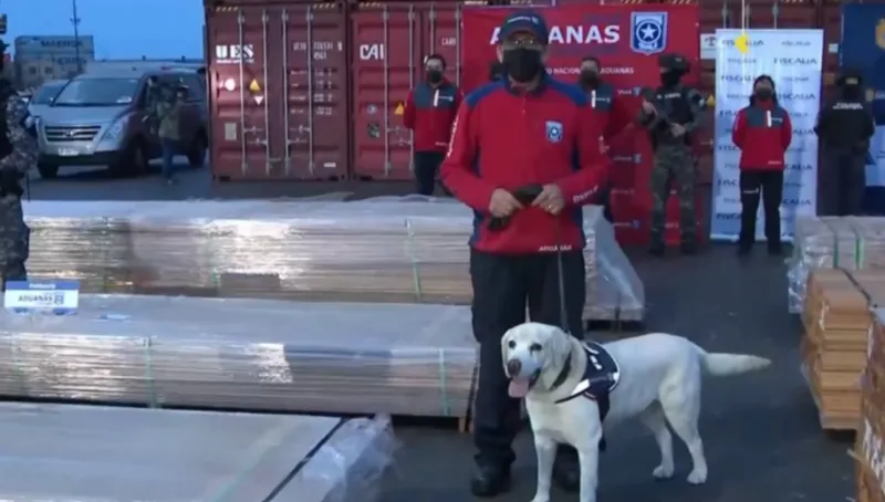 Χιλή: Ποσότητα-ρεκόρ ναρκωτικών κατασχέθηκε σε φορτία ξυλείας ΦΩΤΟ