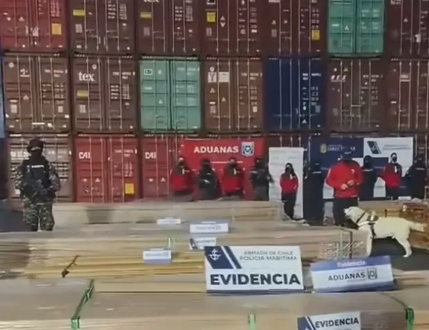 Χιλή: Ποσότητα-ρεκόρ ναρκωτικών κατασχέθηκε σε φορτία ξυλείας ΦΩΤΟ