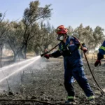 Φωτιά στο Φράγμα Θέρμης στη Θεσσαλονίκη ΒΙΝΤΕΟ