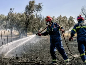 Αγρίνια: Συμπύκνωση εμπρηστών που ομολογούν τρείς πυρκαγιές