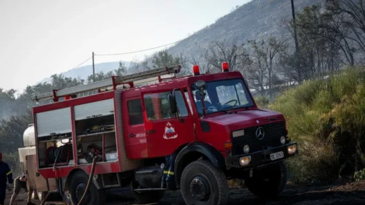 Φωτιά στην Κατερίνη - Κινητοποιήθηκαν και εναέρια 36 Φωτιά στην Κατερίνη