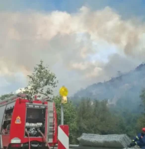 Φωτιά στα Πεύκα Θεσσαλονίκης: 112 στους κατοίκους ΦΩΤΟ - ΒΙΝΤΕΟ
