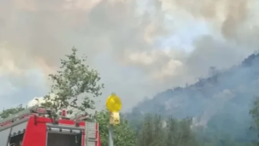 Φωτιά στα Πεύκα Θεσσαλονίκης: 112 στους κατοίκους ΦΩΤΟ - ΒΙΝΤΕΟ