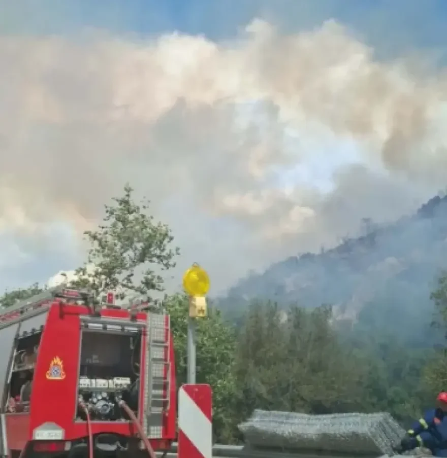 Φωτιά στα Πεύκα Θεσσαλονίκης: 112 στους κατοίκους ΦΩΤΟ - ΒΙΝΤΕΟ