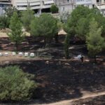 Φωτιά Αλσος Βεΐκου: Η Αστυνομία αναζητά μελισσοκόμους ΦΩΤΟ