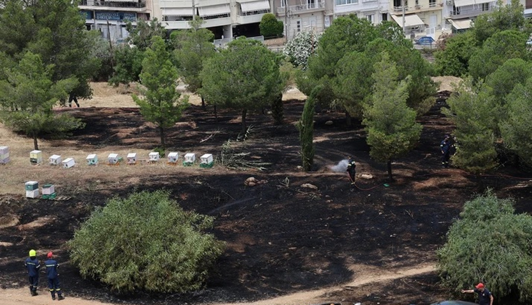 Φωτιά Αλσος Βεΐκου: Η Αστυνομία αναζητά μελισσοκόμους ΦΩΤΟ 4 Φωτιά Αλσος Βεΐκου: Η Αστυνομία αναζητά μελισσοκόμους ΦΩΤΟ