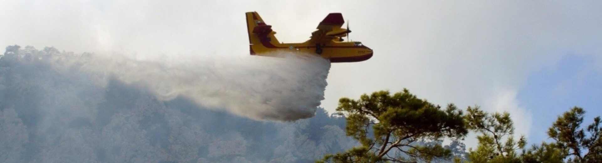 Κίτρινο πυροσβεστικό αεροσκάφος Canadair ρίχνει νερό σε δασική πυρκαγ…