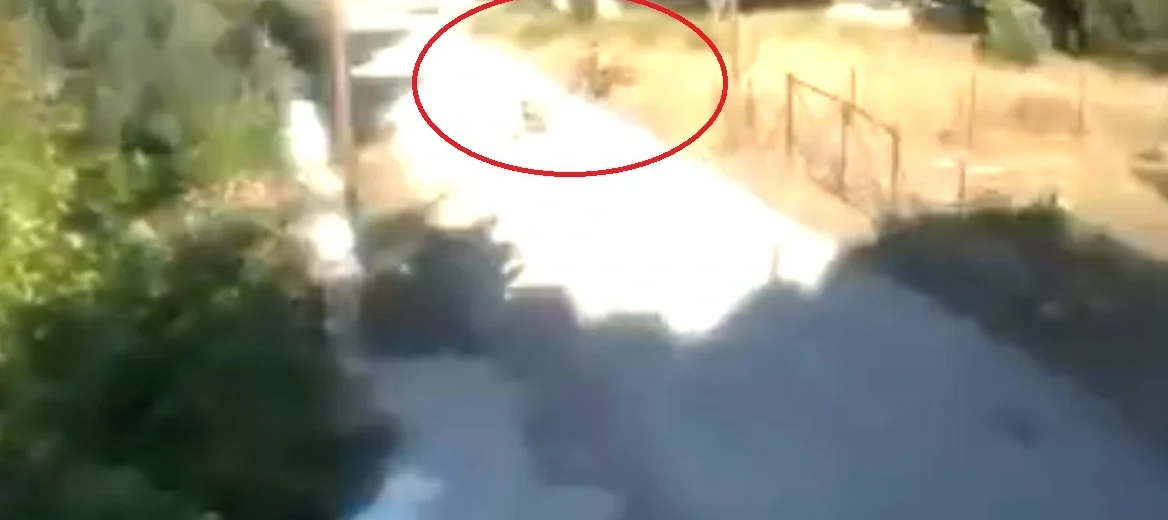 Φωτιά στην Κορινθία