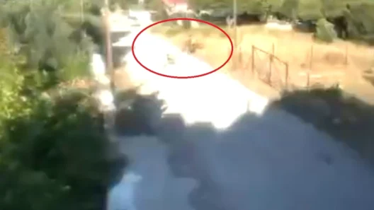 Κορινθία: Υποψήφια βουλευτής η γυναίκα που έβαλε φωτιά 36 Φωτιά στην Κορινθία