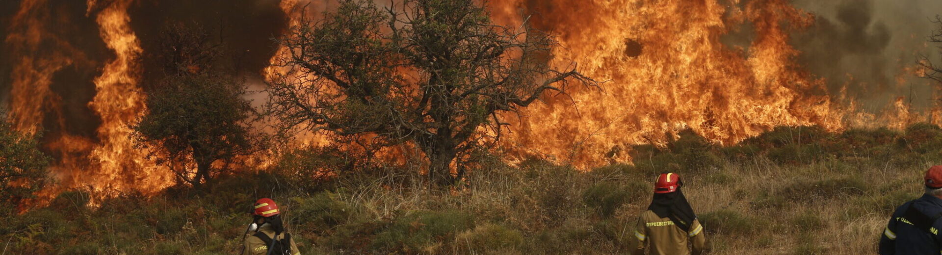 Πυροσβέστες αντιμετωπίζουν μια μεγάλη δασική πυρκαγιά με φλόγες κ…