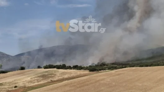 Ανεξέλεγκτη η φωτιά στον Ορχομενό, ενισχύθηκαν οι δυνάμεις 40 Ανεξέλεγκτη η φωτιά στον Ορχομενό, ενισχύθηκαν οι δυνάμεις