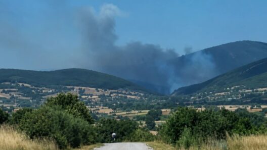 Φωτιά στη Ροδόπη - Επιχειρούν και αεροσκάφη 37 Φωτιά στη Ροδόπη
