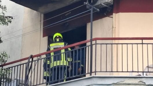 «Σωτήρας» εγγονός για παππού από φλεγόμενο σπίτι στις Σέρρες 37 «Σωτήρας» εγγονός για παππού από φλεγόμενο σπίτι στις Σέρρες