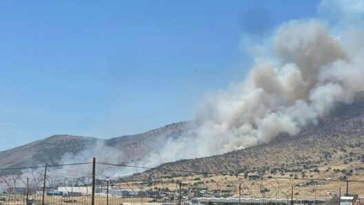 Φωτιά τώρα στον Ασπρόπυργο - Επιχειρούν αεροσκάφη ΝΕΟΤΕΡΑ