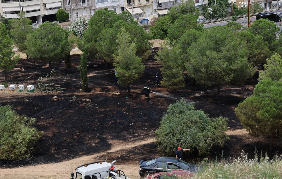 Φωτιά Αλσος Βεΐκου: Η Αστυνομία αναζητά μελισσοκόμους ΦΩΤΟ 29 Φωτιά Αλσος Βεΐκου: Η Αστυνομία αναζητά μελισσοκόμους ΦΩΤΟ