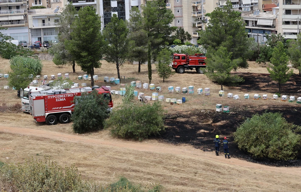 Φωτιά Αλσος Βεΐκου: Η Αστυνομία αναζητά μελισσοκόμους ΦΩΤΟ 30 Φωτιά Αλσος Βεΐκου: Η Αστυνομία αναζητά μελισσοκόμους ΦΩΤΟ