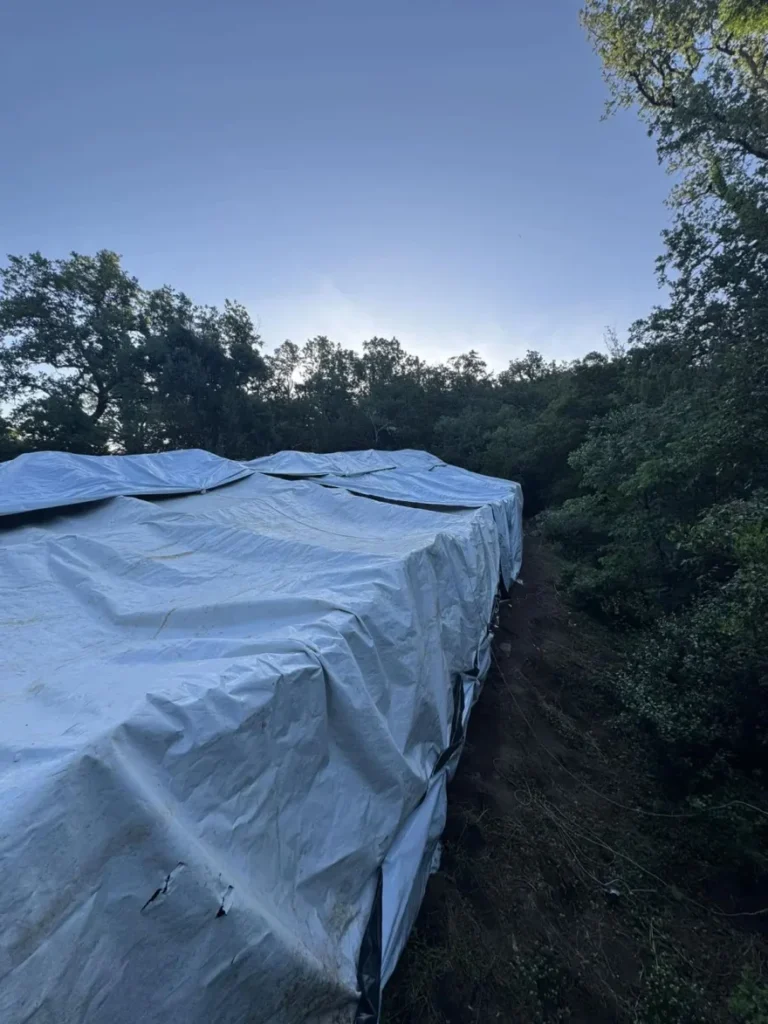 Καμμένα Βούρλα: Η ΕΛΑΣ ξήλωσε τεράστια φυτεία κάνναβης με πάνω από 2 εκατ.€ προσδοκόμενα κέρδη ΦΩΤΟ 30 Καμμένα Βούρλα: Η ΕΛΑΣ ξήλωσε τεράστια φυτεία κάνναβης με πάνω από 2 εκατ.€ προσδοκόμενα κέρδη ΦΩΤΟ