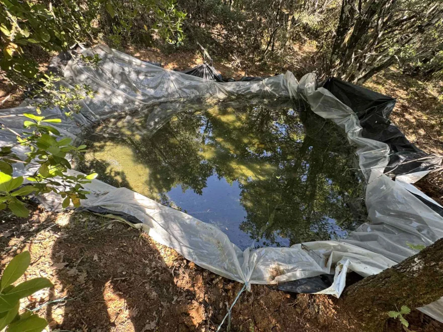 Καμμένα Βούρλα: Η ΕΛΑΣ ξήλωσε τεράστια φυτεία κάνναβης με πάνω από 2 εκατ.€ προσδοκόμενα κέρδη ΦΩΤΟ 29 Καμμένα Βούρλα: Η ΕΛΑΣ ξήλωσε τεράστια φυτεία κάνναβης με πάνω από 2 εκατ.€ προσδοκόμενα κέρδη ΦΩΤΟ