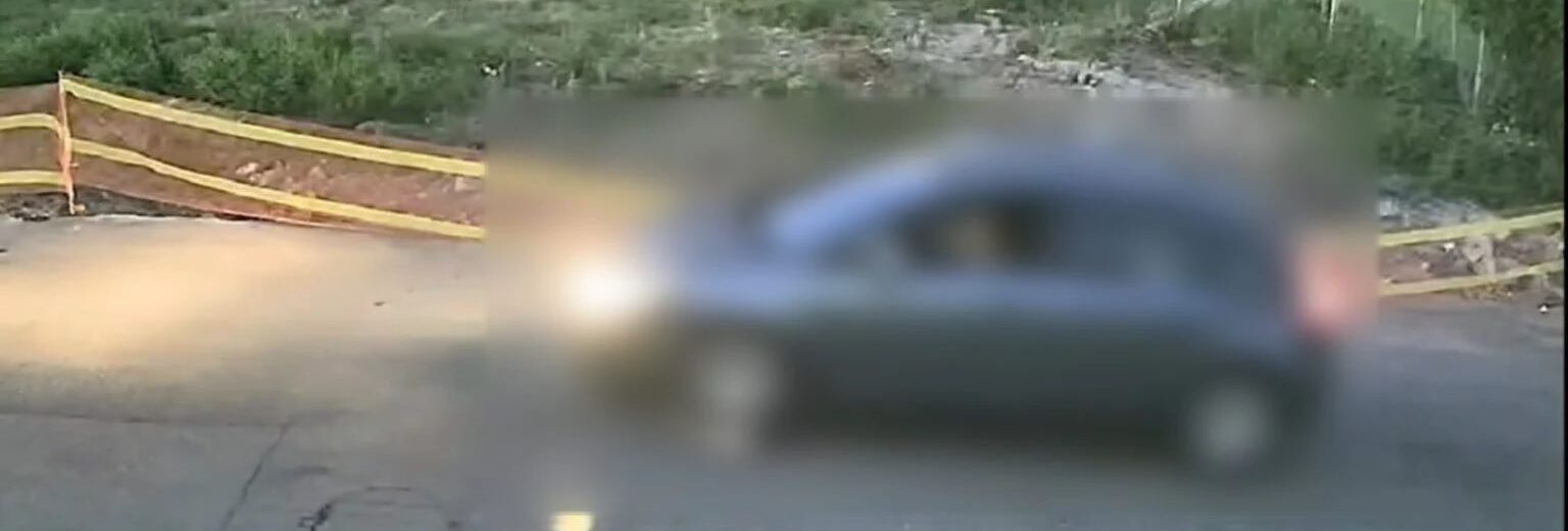 Γαστούνη: Οδηγός «πάτησε» σκόπιμα και σκότωσε σκύλο ΒΙΝΤΕΟ ΝΤΟΚΟΥΜΕΝΤΟ - ΣΚΛΗΡΕΣ ΕΙΚΟΝΕΣ