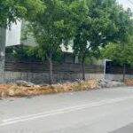 Καστελόκαμπος: Κόπηκαν δέντρα 15 ετών για την κατασκευή πεζοδρομίου