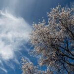 Αχαΐα: Αίθριος καιρός, αλλά με βροχές και μεμονωμένες καταιγίδες στην περιοχή
