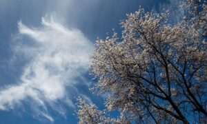 Αχαΐα: Αίθριος καιρός, αλλά με βροχές και μεμονωμένες καταιγίδες στην περιοχή