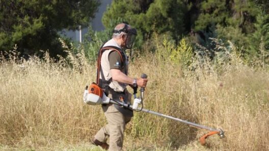 Πάτρα: «Καμπανάκι» φωτιάς και προστίμου στους ιδιοκτήτες οικοπέδων, αν δεν τα καθαρίσουν 37 Πάτρα: «Καμπανάκι» φωτιάς και προστίμου στους ιδιοκτήτες οικοπέδων, αν δεν τα καθαρίσουν