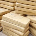 Σίδνεϊ: Κατάσχεση ρεκόρ 2,7 τόνων κοκαΐνης