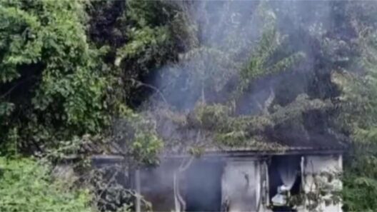 Κόνιτσα: Το έγγραφο στις Αρχές λίγο πριν τη τραγωδία και η «ιστορία» πίσω από το κοντέινερ 36 Κοντέινερ στην Κόνιτσα