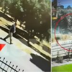 Έβαλε φωτιά στο Αγρίνιο γιατί τον... εκνεύριζαν οι θάμνοι - Τον «έδωσε» βίντεο