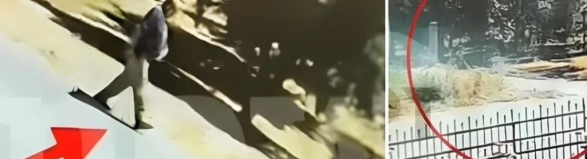 Διαιρεμένη οθόνη με υλικό επιτήρησης: άτομο περπατά, κόκκινο βέλος…
