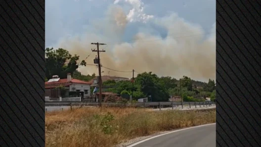 Φωτιά στο Ωραιόκαστρο Θεσσαλονίκης: Μήνυμα από 112 - Εντοπίστηκε σορός ΒΙΝΤΕΟ 36 Φωτιά στο Ωραιόκαστρο Θεσσαλονίκης: Μήνυμα από 112 - Εντοπίστηκε σορός ΒΙΝΤΕΟ
