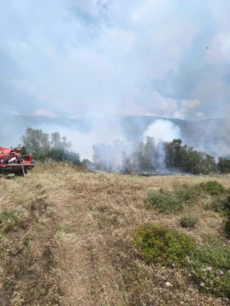 Μάχη με τις φλόγες σε Αιτωλοακαρνανία, Λουτράκι, Μέθανα και Γεράνεια Όρη ΦΩΤΟ 29 Μάχη με τις φλόγες σε Αιτωλοακαρνανία, Λουτράκι, Μέθανα και Γεράνεια Όρη ΦΩΤΟ