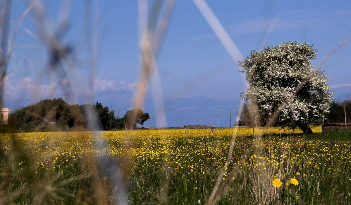 Αχαΐα: Καλός ο καιρός, με μικρές πιθανότητες για βροχή 35 Αχαΐα: Καλός ο καιρός, με μικρές πιθανότητες για βροχή