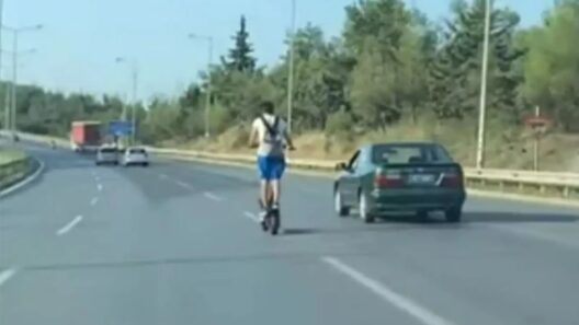Πατρών - Πύργου: Νεαρός με πατίνι κινητοποίησε την ΕΛΑΣ 39 Πατρών - Πύργου: Νεαρός με πατίνι κινητοποίησε την ΕΛΑΣ