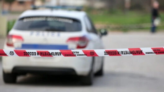 Hλεα: Σύλληψη οδηγού με εύρημα φυσίγγια 37 Hλεα: Σύλληψη οδηγού με εύρημα φυσίγγια