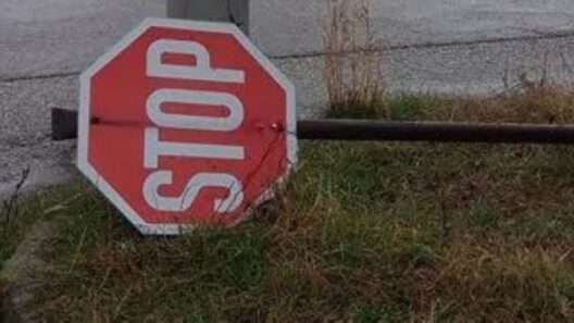Πάτρα: Έβαλε σε κίνδυνο οδηγούς ξηλώνοντας STOP 36 Σημάδια στάσης σε οδική αρτηρία