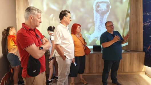 Το «σπιράλ» στο Πουρναρόκαστρο για την Ημέρα Περιβάλλοντος ΦΩΤΟ 37 Το «σπιράλ» στο Πουρναρόκαστρο για την Ημέρα Περιβάλλοντος ΦΩΤΟ