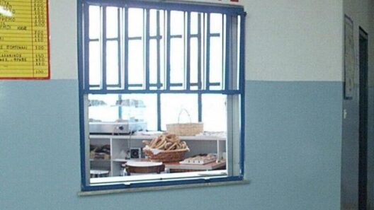 Κυλικεία: Αυτά είναι τα προϊόντα που βγαίνουν εκτός σχολείων 38 Κυλικεία: Αυτά είναι τα προϊόντα που βγαίνουν εκτός σχολείων